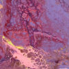 Synthesis No. 11 - Image 3