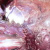 Origin No. 1 - Image 3