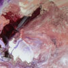 Origin No. 1 - Image 4