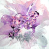 Flowers Of Heaven