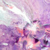 Flowers Of Heaven - Image 3