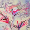 Pink Dawn Rose - Image 3