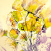 April Showers Bring…